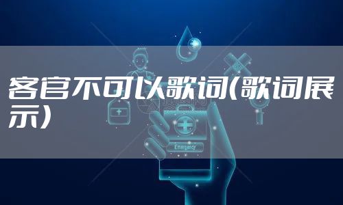 客官不可以歌词（歌词展示）