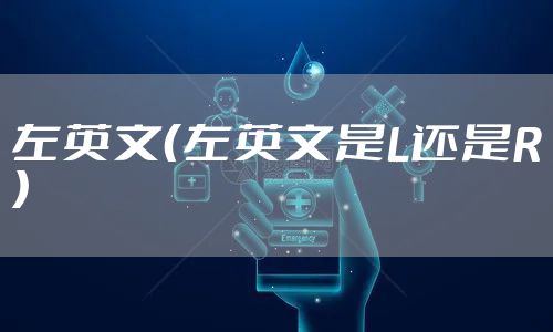 左英文（左英文是L还是R）