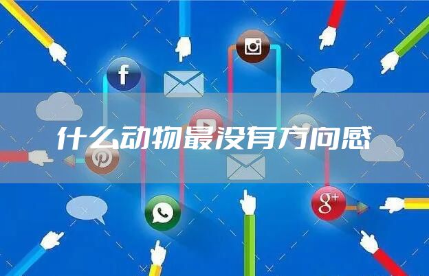 什么动物最没有方向感