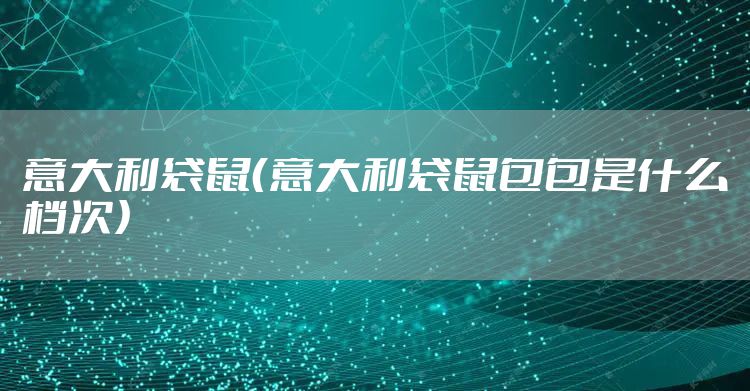 意大利袋鼠（意大利袋鼠包包是什么档次）