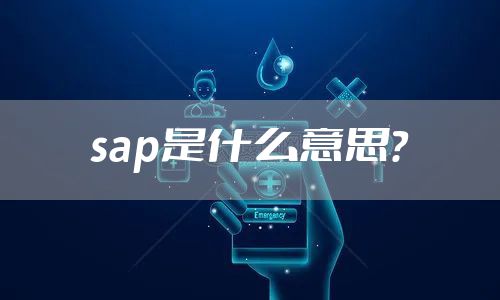 sap是什么意思？