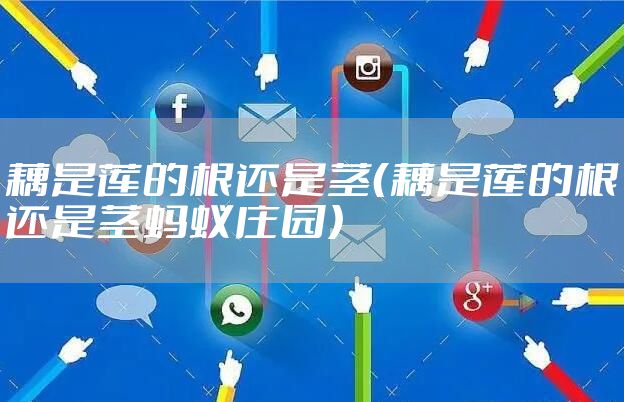 藕是莲的根还是茎（藕是莲的根还是茎蚂蚁庄园）