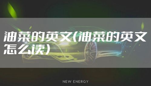 油菜的英文(油菜的英文怎么读)