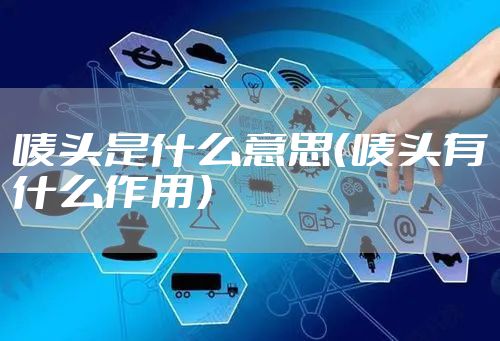 唛头是什么意思（唛头有什么作用）