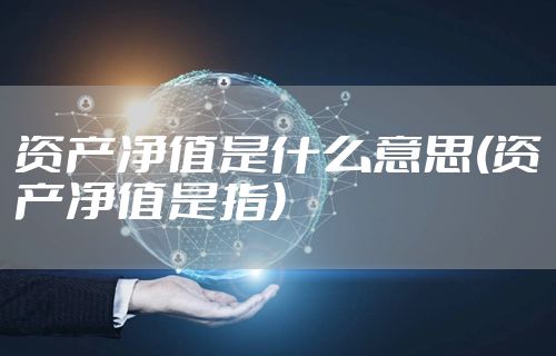 资产净值是什么意思(资产净值是指)