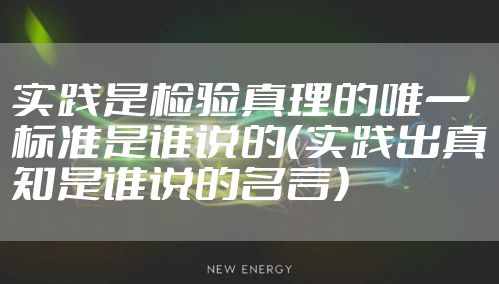 实践是检验真理的唯一标准是谁说的（实践出真知是谁说的名言）