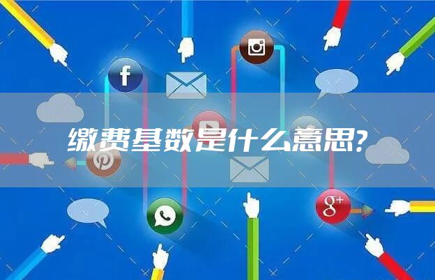 缴费基数是什么意思?