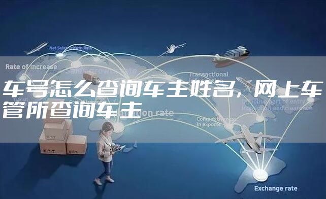 车号怎么查询车主姓名，网上车管所查询车主