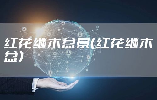 红花继木盆景（红花继木盆）