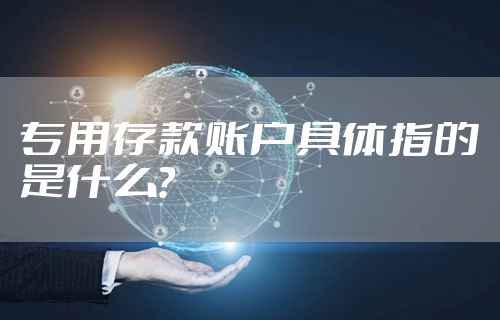 专用存款账户具体指的是什么?