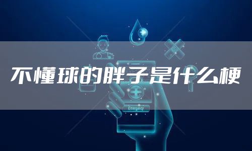 不懂球的胖子是什么梗