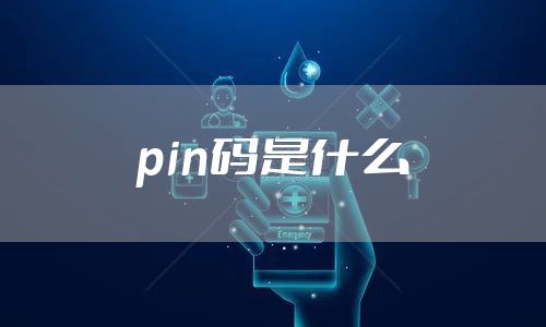 pin码是什么