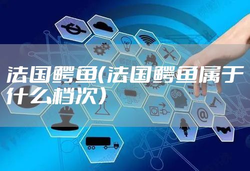 法国鳄鱼(法国鳄鱼属于什么档次)