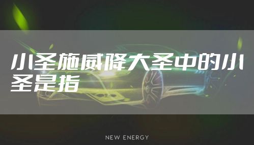 小圣施威降大圣中的小圣是指