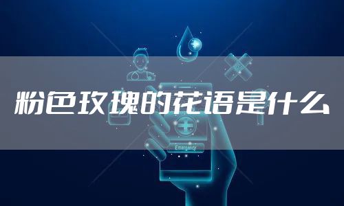 粉色玫瑰的花语是什么