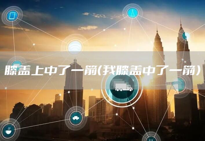 膝盖上中了一箭（我膝盖中了一箭）