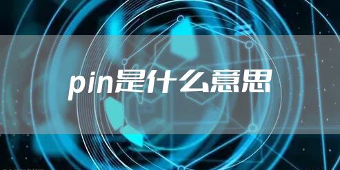 pin是什么意思