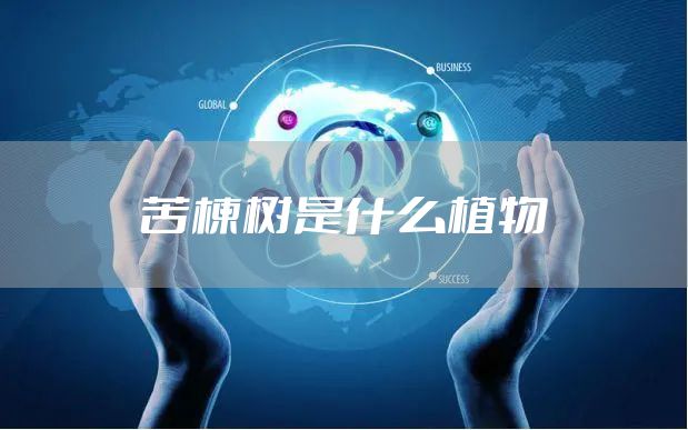 苦楝树是什么植物