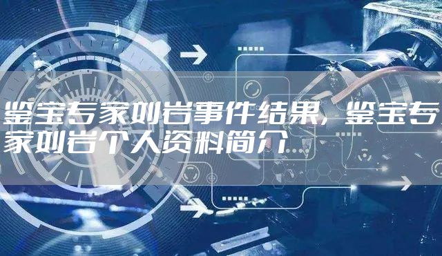 鉴宝专家刘岩事件结果，鉴宝专家刘岩个人资料简介