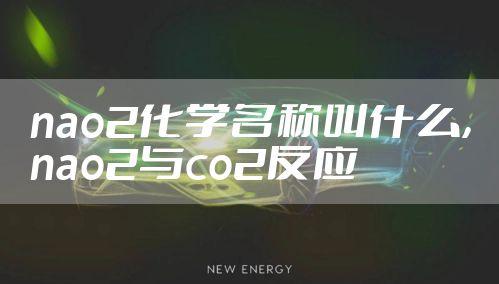 nao2化学名称叫什么，nao2与co2反应