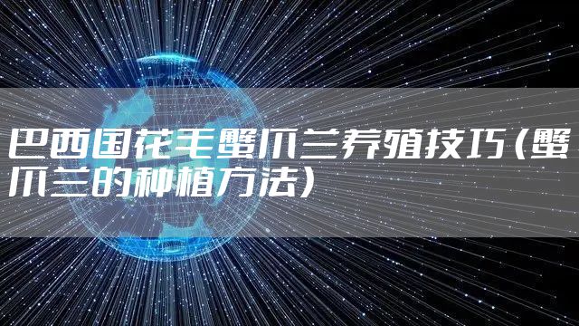 巴西国花毛蟹爪兰养殖技巧 （蟹爪兰的种植方法）