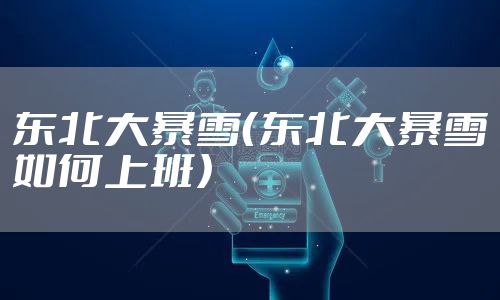 东北大暴雪（东北大暴雪如何上班）