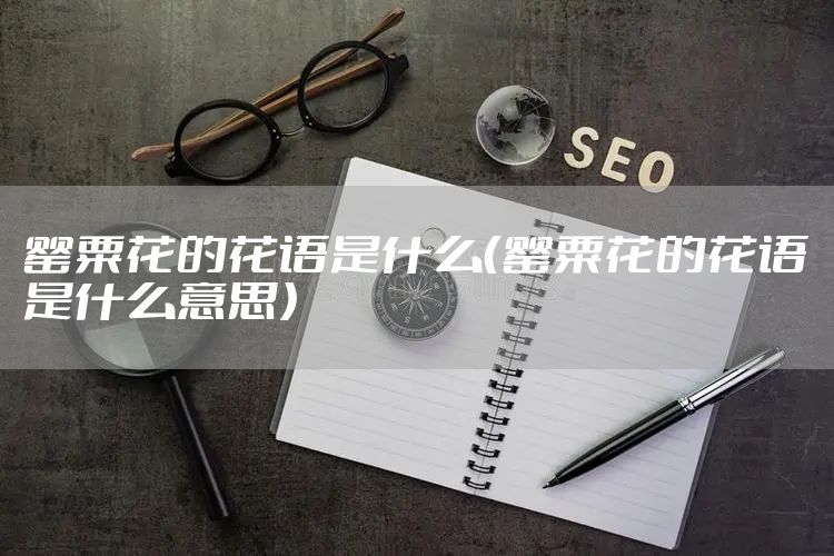 罂粟花的花语是什么(罂粟花的花语是什么意思)