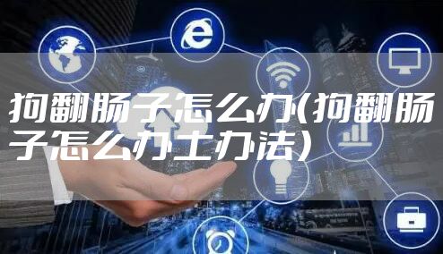 狗翻肠子怎么办(狗翻肠子怎么办土办法)