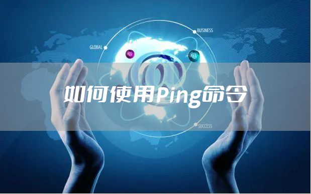 如何使用Ping命令