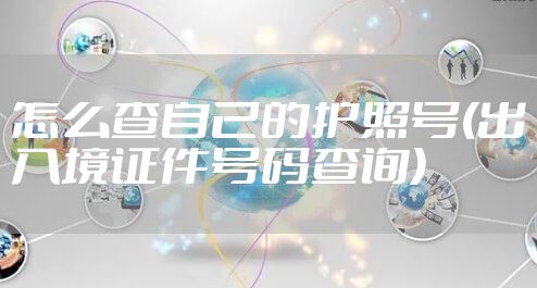 怎么查自己的护照号(出入境证件号码查询)