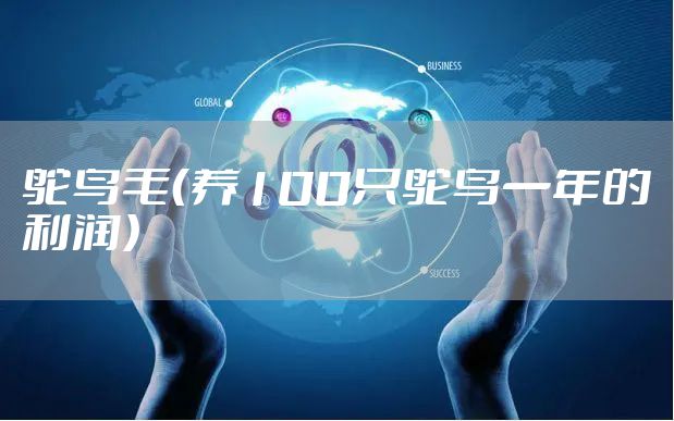 鸵鸟毛(养100只鸵鸟一年的利润)