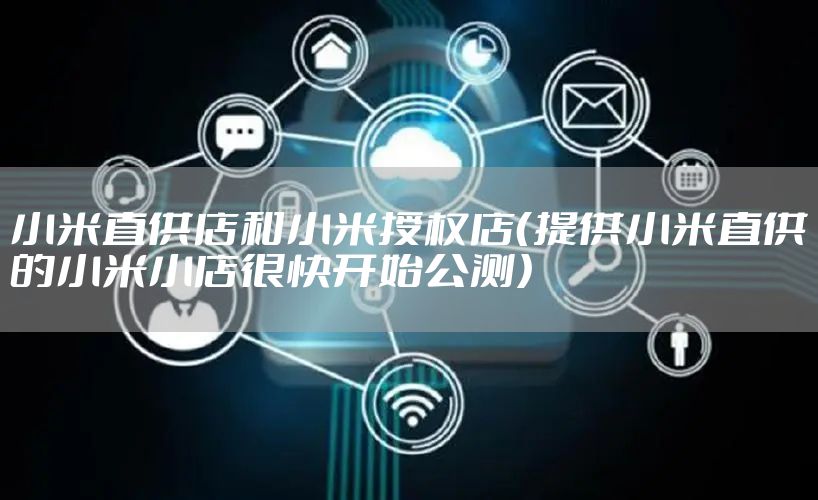 小米直供店和小米授权店（提供小米直供的小米小店很快开始公测）