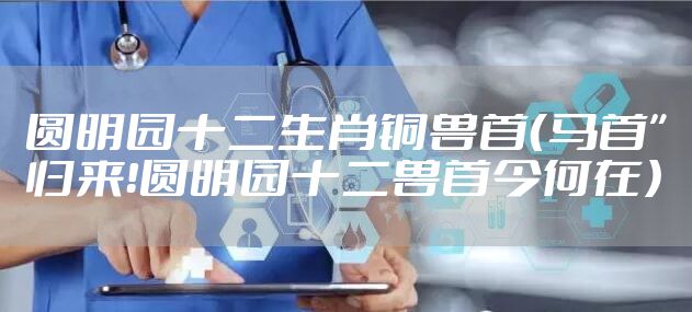 圆明园十二生肖铜兽首（马首”归来！圆明园十二兽首今何在）