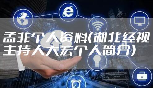 孟非个人资料（湖北经视主持人大宏个人简介）