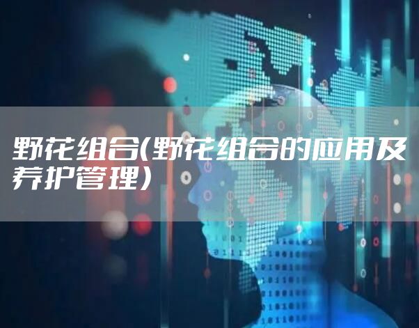 野花组合（野花组合的应用及养护管理）