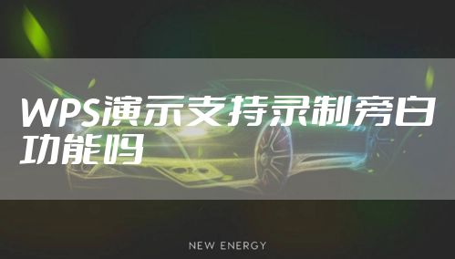 WPS演示支持录制旁白功能吗