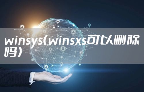 winsys（winsxs可以删除吗）