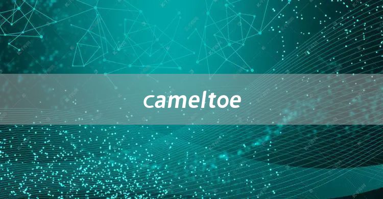 cameltoe