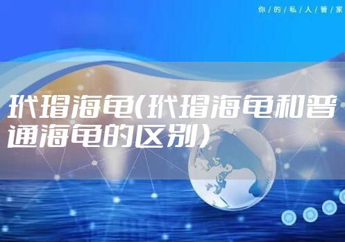 玳瑁海龟（玳瑁海龟和普通海龟的区别）