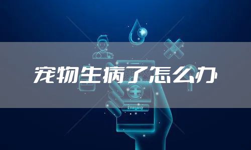 宠物生病了怎么办