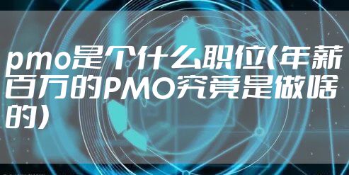 pmo是个什么职位（年薪百万的PMO究竟是做啥的）