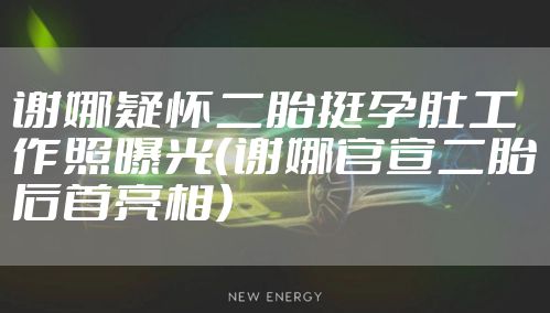 谢娜疑怀二胎挺孕肚工作照曝光（谢娜官宣二胎后首亮相）