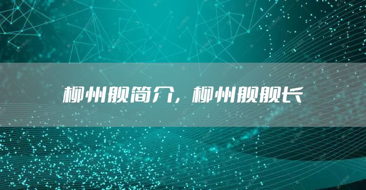 柳州舰简介，柳州舰舰长