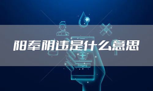 阳奉阴违是什么意思