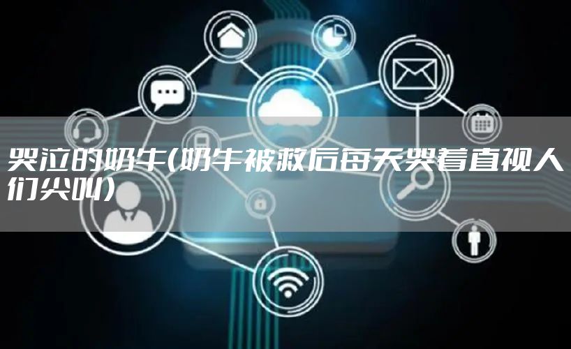 哭泣的奶牛（奶牛被救后每天哭着直视人们尖叫）