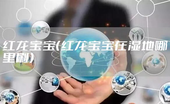 红龙宝宝（红龙宝宝在湿地哪里刷）