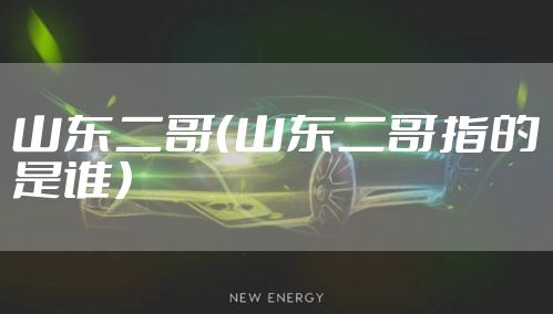 山东二哥(山东二哥指的是谁)