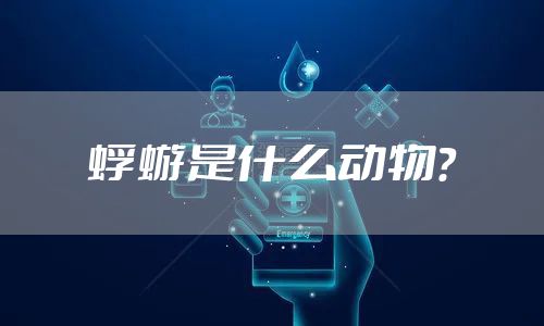 蜉蝣是什么动物？