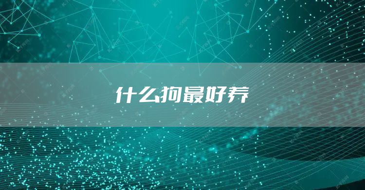 什么狗最好养