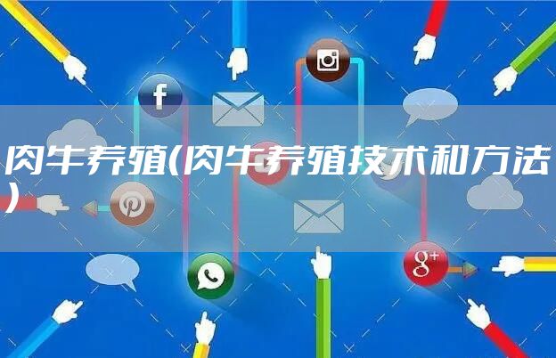 肉牛养殖（肉牛养殖技术和方法）